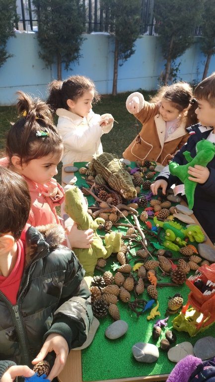 Fotoğraf