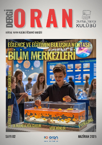 Dergi Oran 2. Sayı kapak görseli