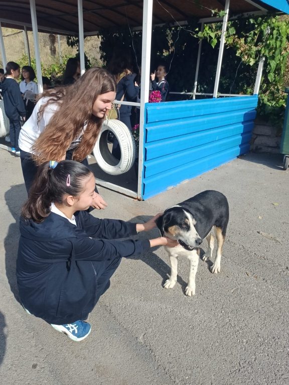 Hayvanları Koruma Günü'nde Oran Okulları olarak Kadıköy Geçici Hayvan Bakım Merkezi'ni ziyaret ettik. görseli 1