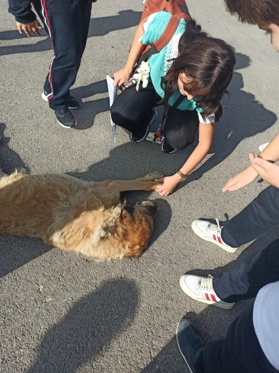 Hayvanları Koruma Günü'nde Oran Okulları olarak Kadıköy Geçici Hayvan Bakım Merkezi'ni ziyaret ettik. görseli 5