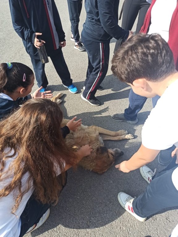 Hayvanları Koruma Günü'nde Oran Okulları olarak Kadıköy Geçici Hayvan Bakım Merkezi'ni ziyaret ettik. görseli 4