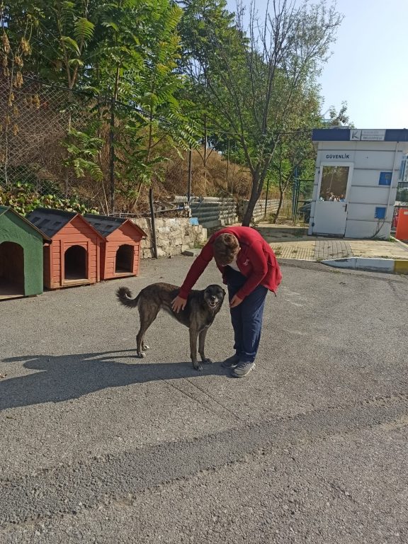 Hayvanları Koruma Günü'nde Oran Okulları olarak Kadıköy Geçici Hayvan Bakım Merkezi'ni ziyaret ettik. görseli 2