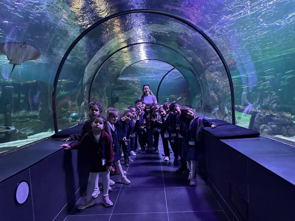 Ana sınıfı öğrencilerimizle ViaSea Akvaryum'a gözlem ve inceleme gezisi gerçekleştirdik. görseli 6