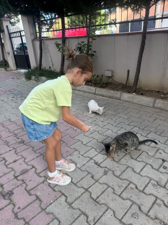 4 Ekim Dünya Hayvanları Koruma Günü kapsamında Yabancı Diller bölümümüz tarafından öğrencilerimizle Hayvan Barınağı Projesi gerçekleştirdik. görseli 22