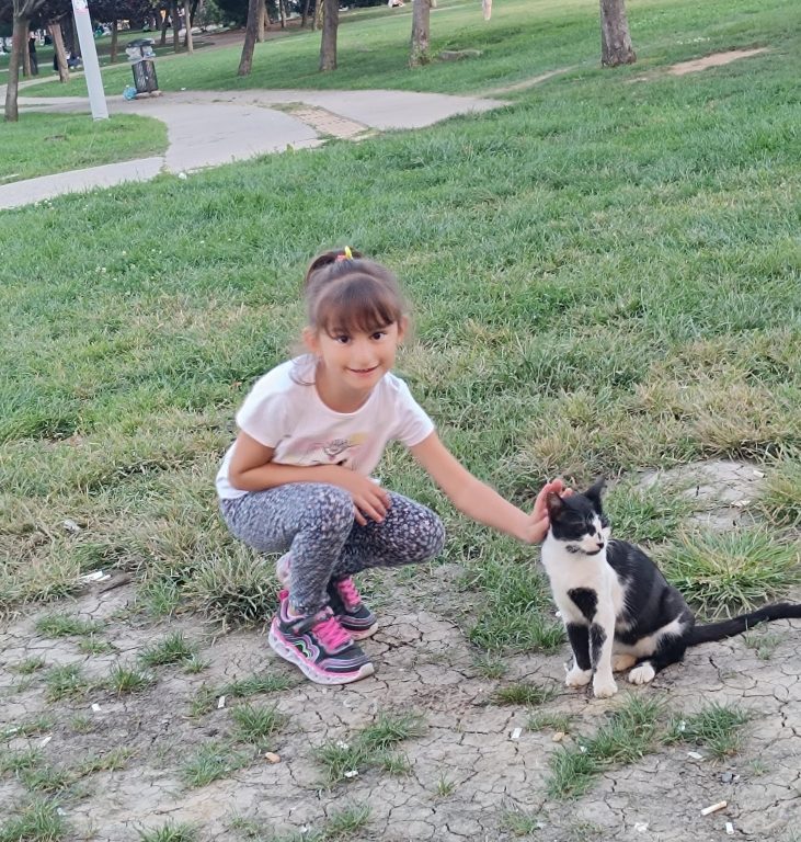 4 Ekim Dünya Hayvanları Koruma Günü kapsamında Yabancı Diller bölümümüz tarafından öğrencilerimizle Hayvan Barınağı Projesi gerçekleştirdik. görseli 23