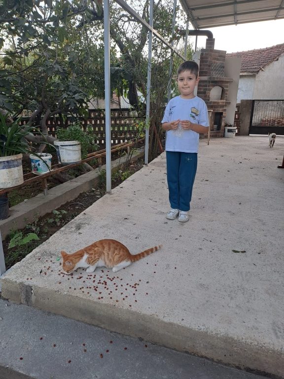 4 Ekim Dünya Hayvanları Koruma Günü kapsamında Yabancı Diller bölümümüz tarafından öğrencilerimizle Hayvan Barınağı Projesi gerçekleştirdik. görseli 24