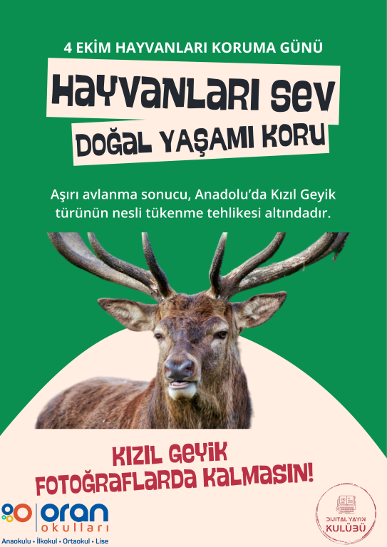 Dijital Yayın Kulübü Öğrencilerimiz Hayvanları Koruma Günü Kapsamında Afiş Tasarladılar.
