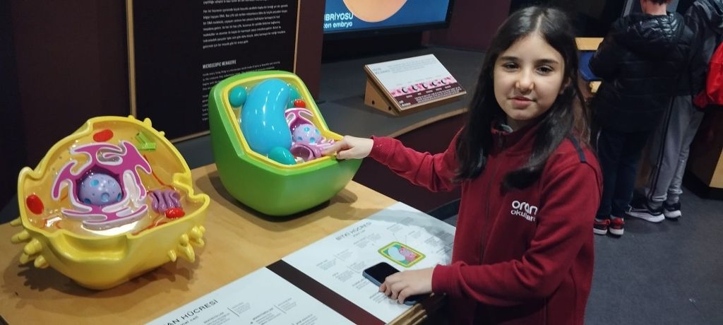 5. sınıflarımızla Maarif Modeli kapsamında Okul Temelli Planlama’mızın içeriğinde yer alan Kocaeli Bilim Merkezi’ne gezi düzenlendik. görseli 9