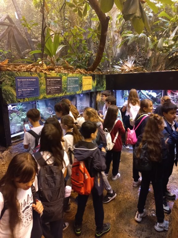 5. sınıf öğrencilerimizle Florya Aqua Park’a gözlem ve inceleme gezisi gerçekleştirdik. görseli 13