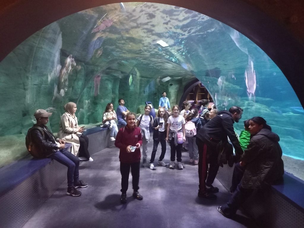 5. sınıf öğrencilerimizle Florya Aqua Park’a gözlem ve inceleme gezisi gerçekleştirdik. görseli 1
