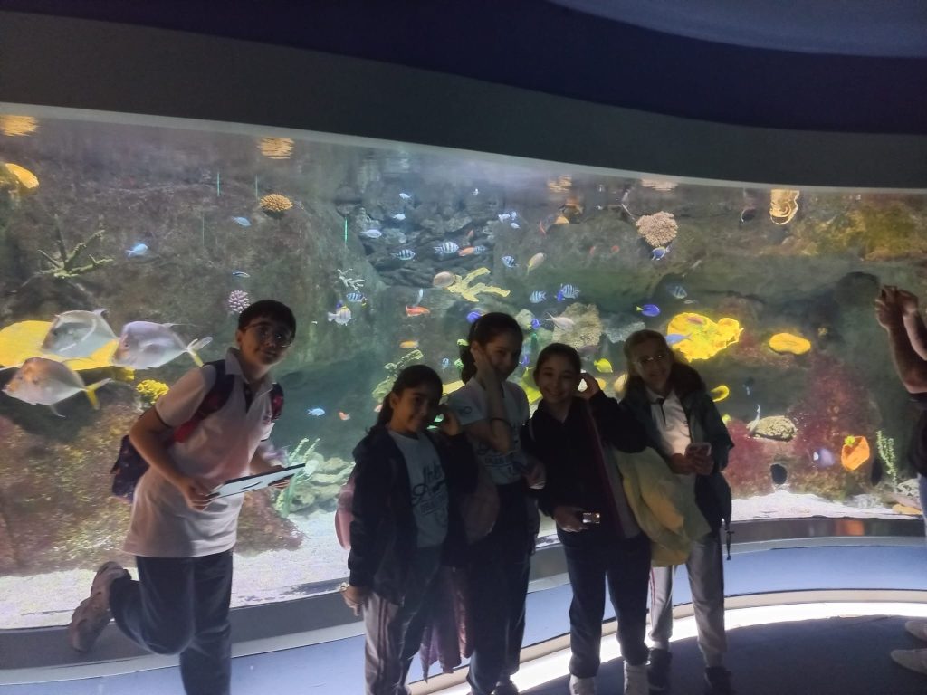 5. sınıf öğrencilerimizle Florya Aqua Park’a gözlem ve inceleme gezisi gerçekleştirdik. görseli 6