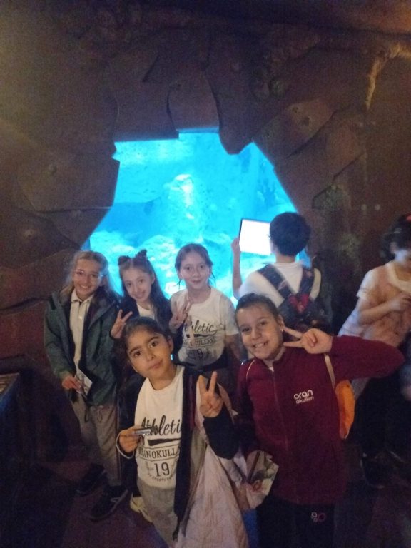 5. sınıf öğrencilerimizle Florya Aqua Park’a gözlem ve inceleme gezisi gerçekleştirdik. görseli 2