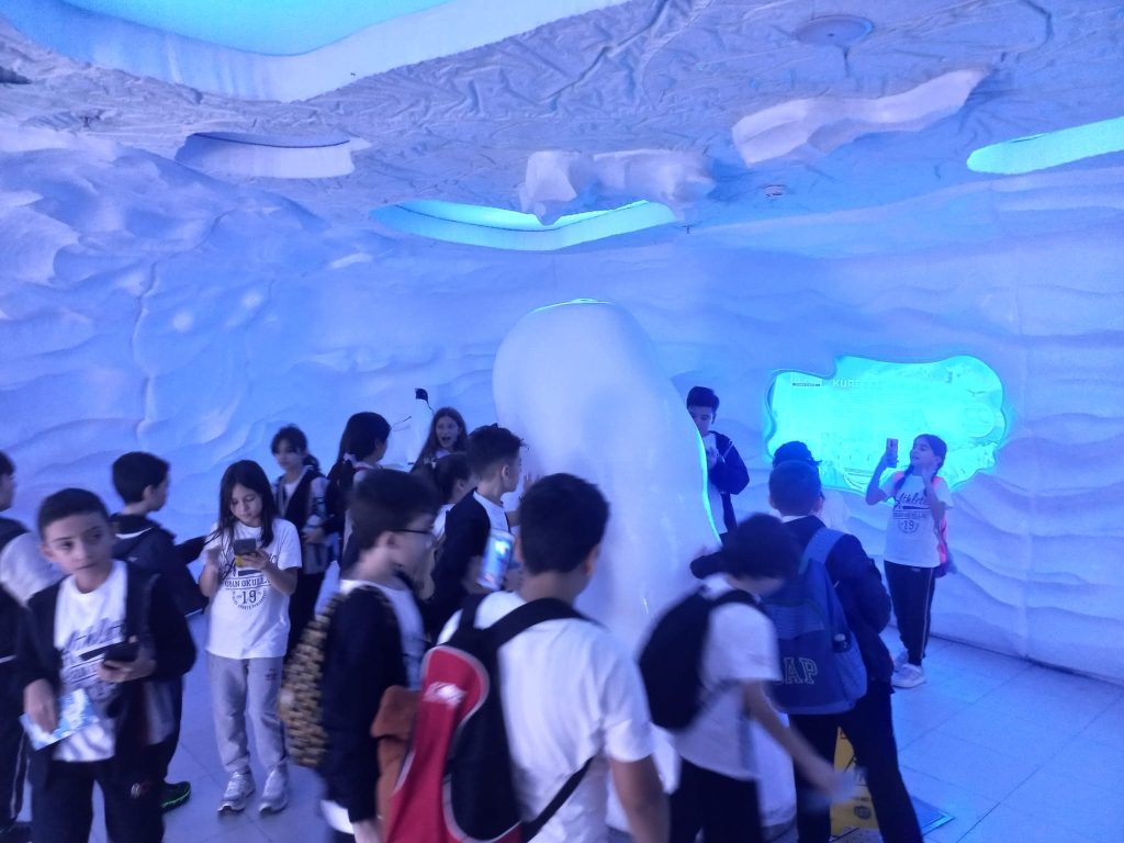 5. sınıf öğrencilerimizle Florya Aqua Park’a gözlem ve inceleme gezisi gerçekleştirdik. görseli 3
