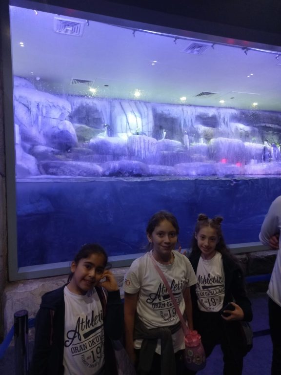 5. sınıf öğrencilerimizle Florya Aqua Park’a gözlem ve inceleme gezisi gerçekleştirdik. görseli 9