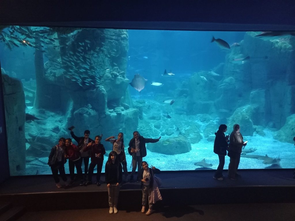 5. sınıf öğrencilerimizle Florya Aqua Park’a gözlem ve inceleme gezisi gerçekleştirdik. görseli 5