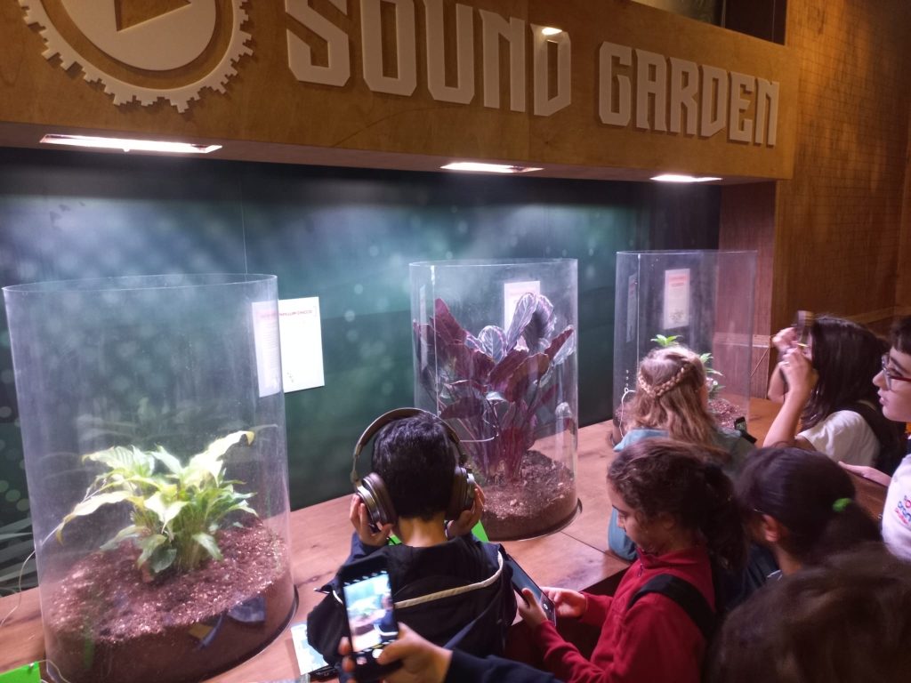 5. sınıf öğrencilerimizle Florya Aqua Park’a gözlem ve inceleme gezisi gerçekleştirdik. görseli 10