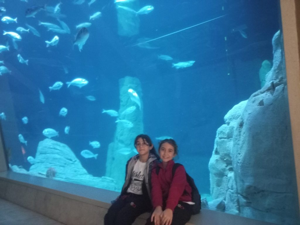 5. sınıf öğrencilerimizle Florya Aqua Park’a gözlem ve inceleme gezisi gerçekleştirdik. görseli 4